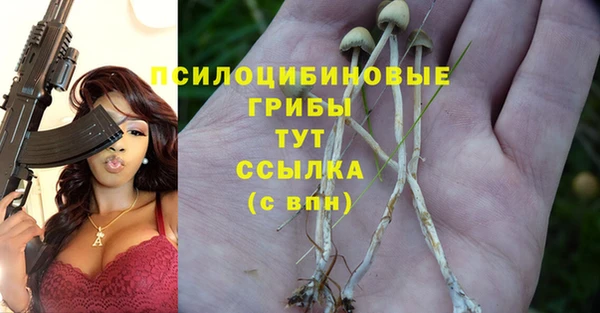 mix Костерёво