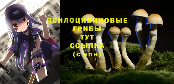 mix Костерёво