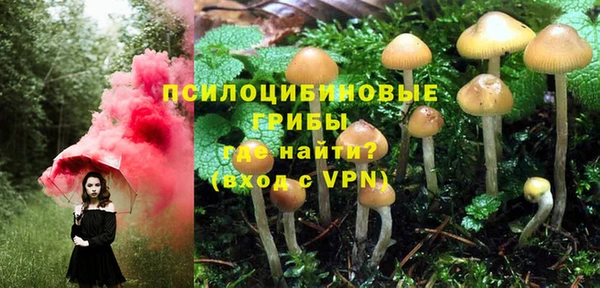 ALPHA-PVP Коряжма