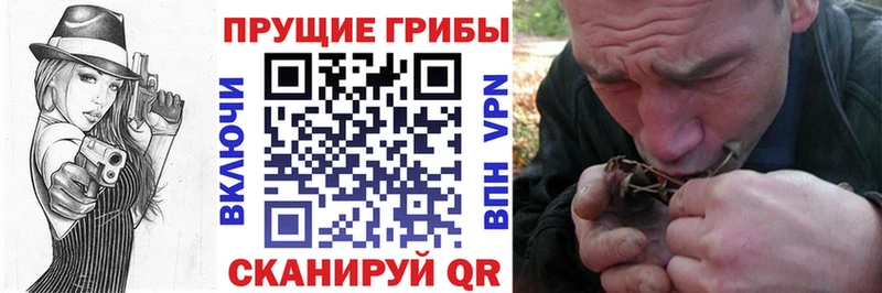 Галлюциногенные грибы мицелий Гаджиево