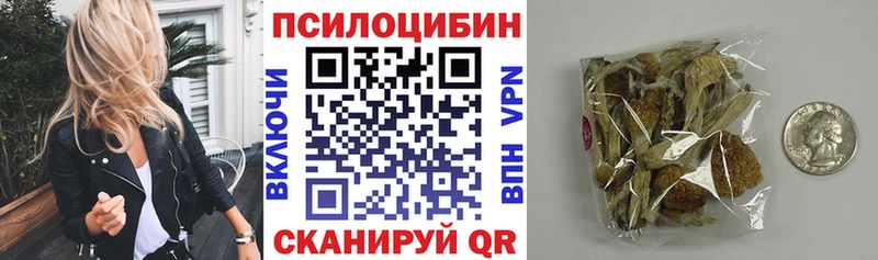 Купить где  Гаджиево  Псилоцибиновые грибы Psilocybe 