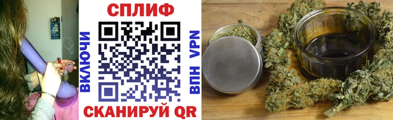 Купить закладки  Гаджиево  Канабис семена 